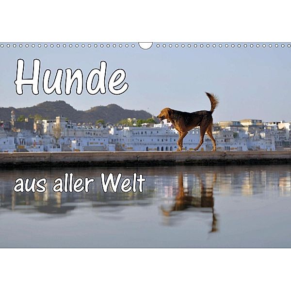 Hunde aus aller Welt (Wandkalender 2021 DIN A3 quer), Florian Blümm