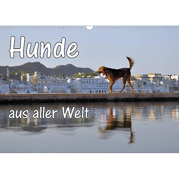 Hunde aus aller Welt (Wandkalender 2023 DIN A3 quer), Florian Blümm