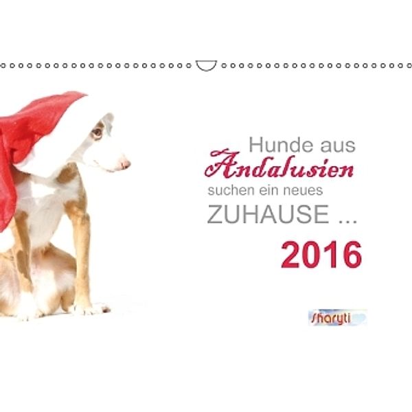 Hunde aus Andalusien suchen ein neues Zuhause ... (Wandkalender 2016 DIN A3 quer), Petra Eckerl