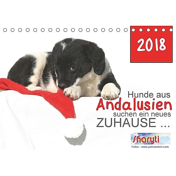 Hunde aus Andalusien suchen ein neues Zuhause ... (Tischkalender 2018 DIN A5 quer), Petra Eckerl