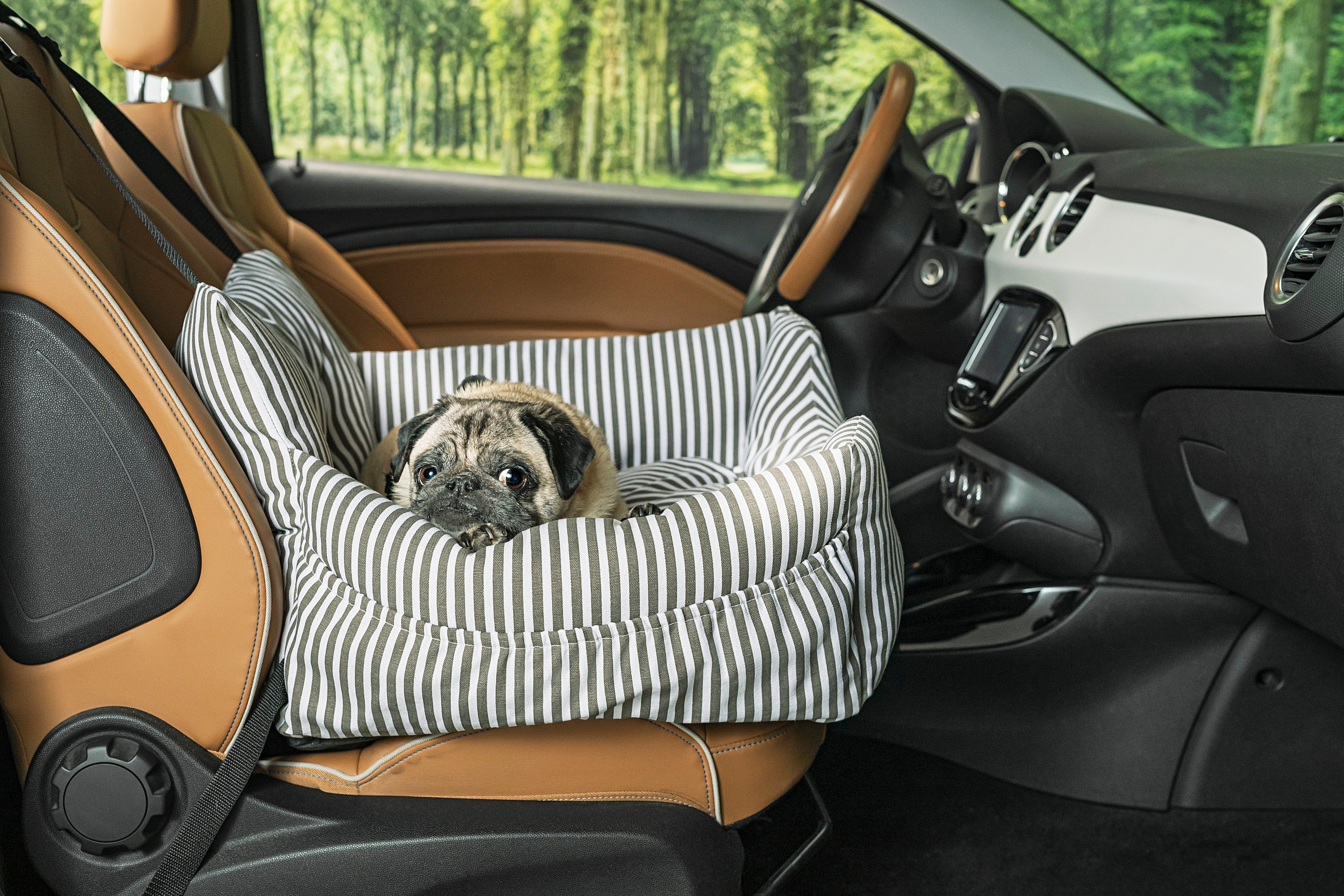 Hunde-Autositz Farbe: schwarz weiss gestreift