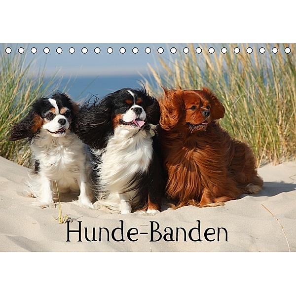 Hunde-Banden (Tischkalender 2018 DIN A5 quer), Petra Wegner