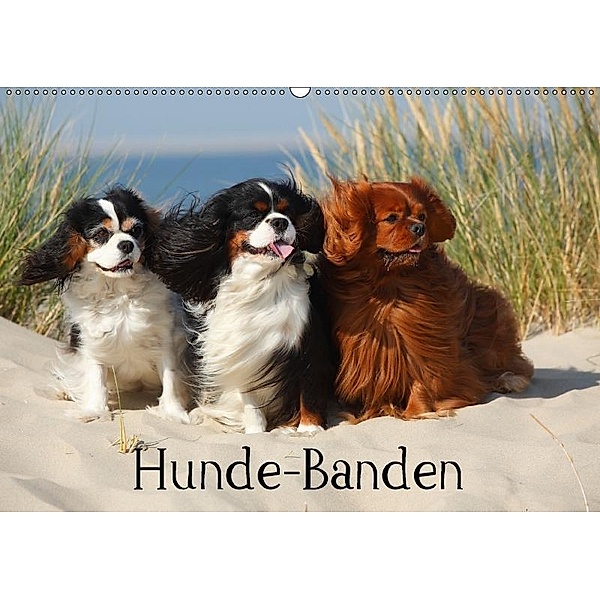 Hunde-Banden (Wandkalender 2017 DIN A2 quer), Petra Wegner