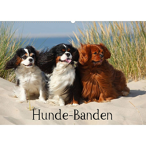 Hunde-Banden (Wandkalender 2023 DIN A2 quer), Petra Wegner