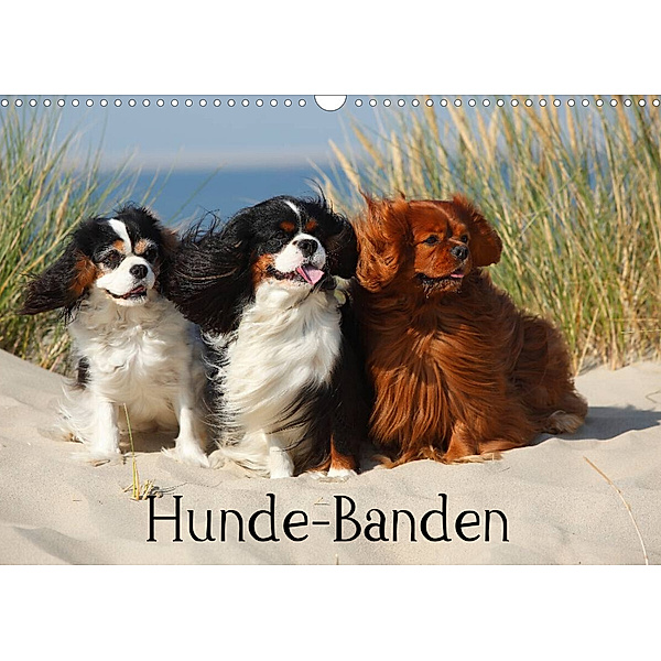 Hunde-Banden (Wandkalender 2023 DIN A3 quer), Petra Wegner