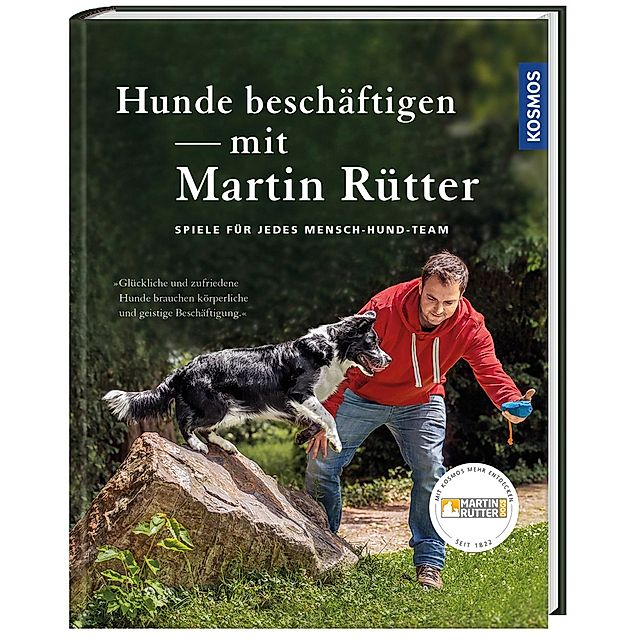 Hunde beschäftigen mit Martin Rütter Buch bestellen - Weltbild.at