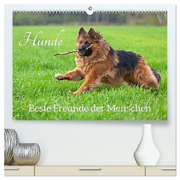 Hunde - Beste Freunde der Menschen (hochwertiger Premium Wandkalender 2024 DIN A2 quer), Kunstdruck in Hochglanz, Siegfried Kuttig