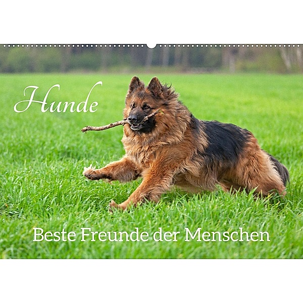 Hunde - Beste Freunde der Menschen (Wandkalender 2023 DIN A2 quer), Siegfried Kuttig