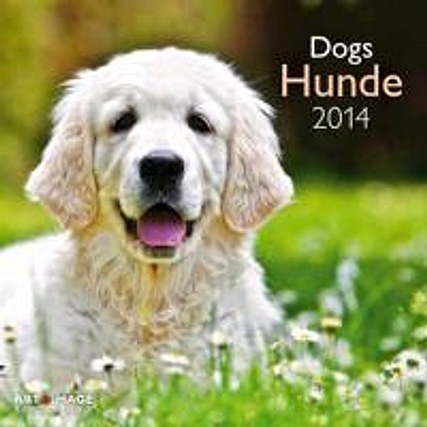 Hunde, Broschürenkalender 2014