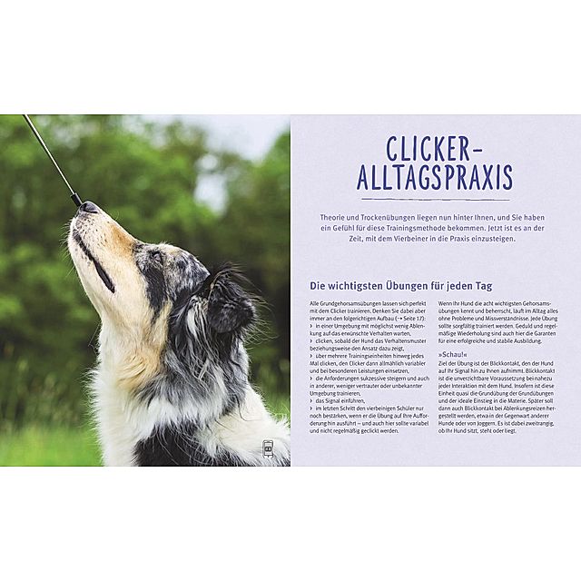 Hunde-Clickertraining Buch jetzt bei Weltbild.ch online bestellen