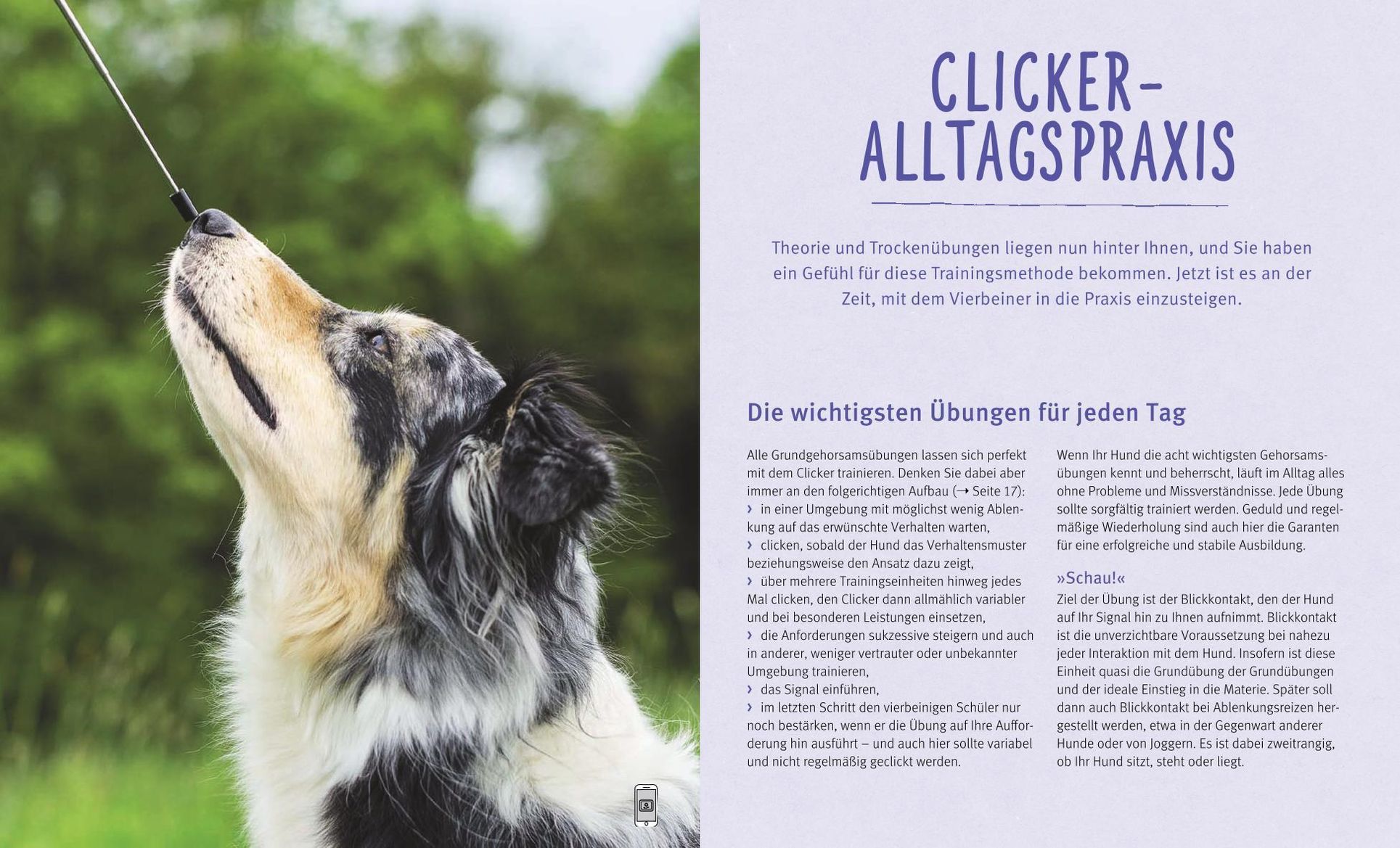Hunde-Clickertraining Buch jetzt bei Weltbild.at online bestellen