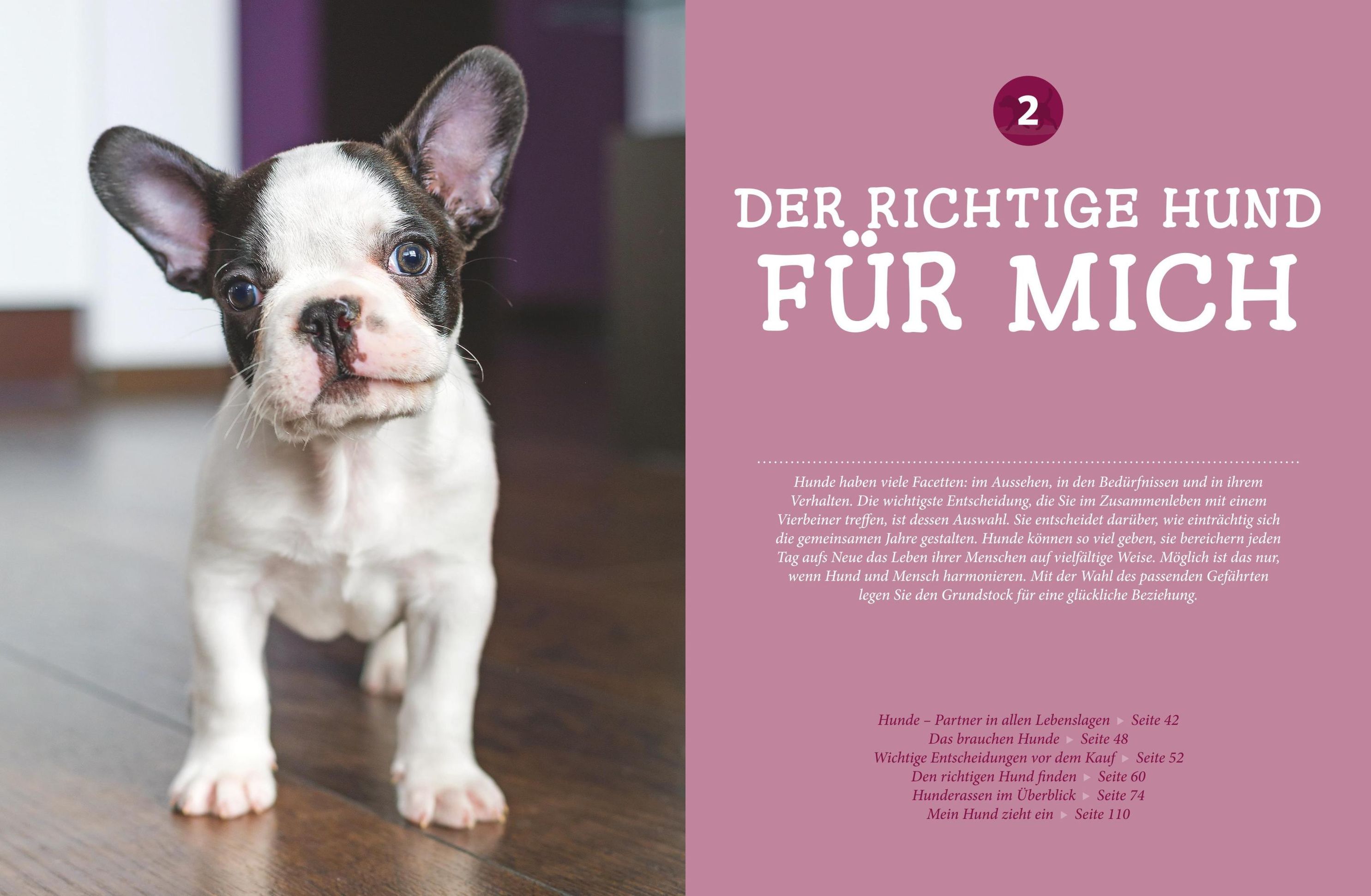 Hunde - Das große Praxishandbuch Buch versandkostenfrei bei Weltbild.de