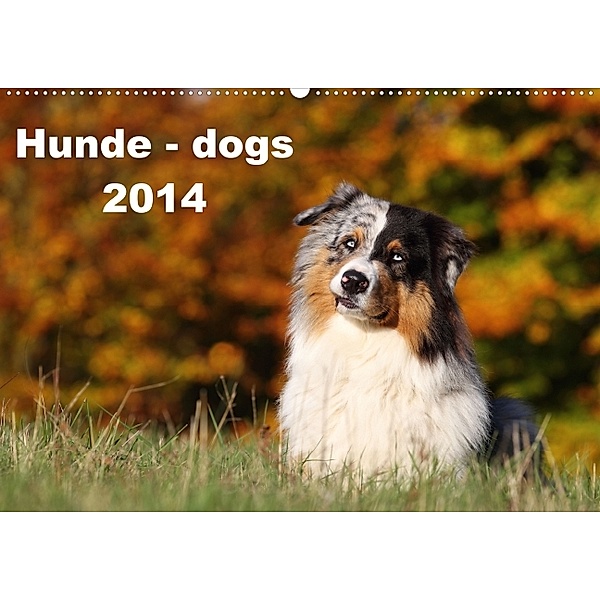 Hunde - dogs 2014 (Wandkalender 2014 DIN A2 quer), Jeanette Hutfluss