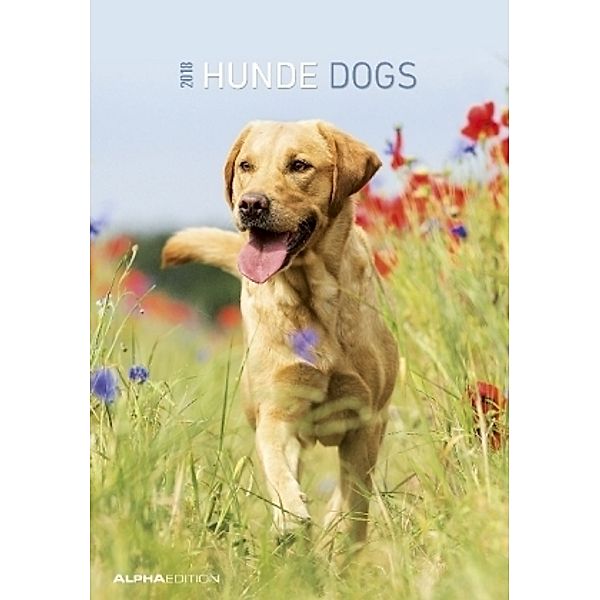 Hunde - Dogs 2018