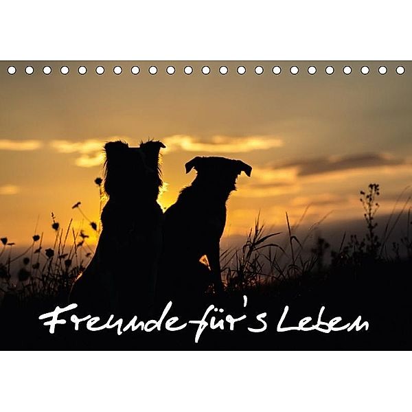 Hunde - Freunde für's Leben (Tischkalender 2017 DIN A5 quer), Elke Schulz