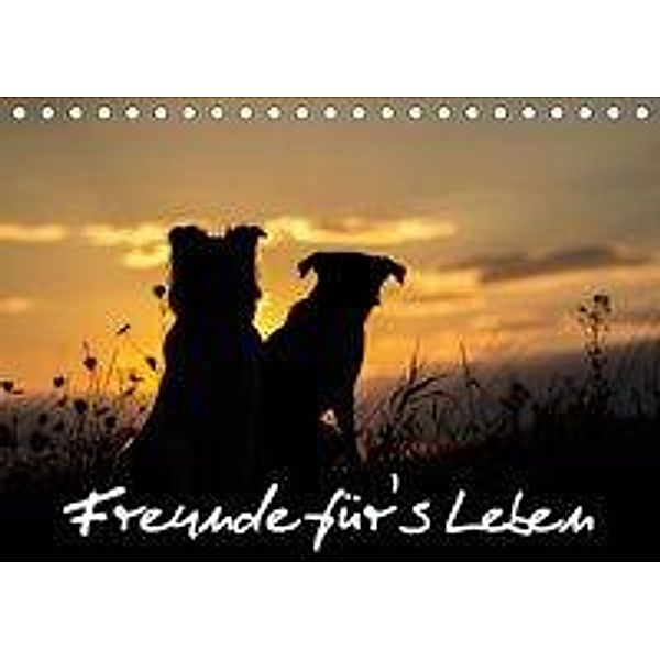 Hunde - Freunde für's Leben (Tischkalender 2020 DIN A5 quer), Elke Schulz