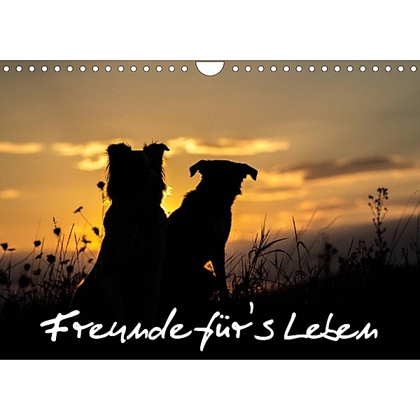 Hunde - Freunde für's Leben (Wandkalender 2023 DIN A4 quer), Elke Schulz