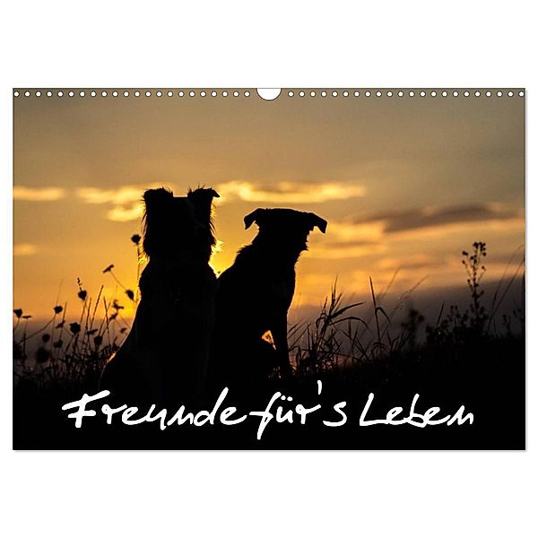 Hunde - Freunde für's Leben (Wandkalender 2024 DIN A3 quer), CALVENDO Monatskalender, Elke Schulz