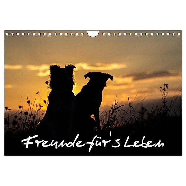 Hunde - Freunde für's Leben (Wandkalender 2024 DIN A4 quer), CALVENDO Monatskalender, Elke Schulz