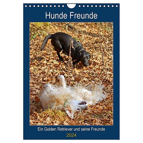 Hunde Freunde (Wandkalender 2024 DIN A4 hoch), CALVENDO Monatskalender, Kattobello