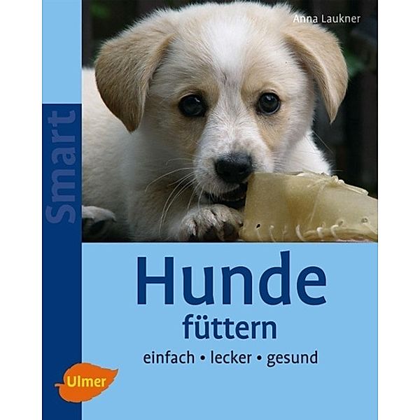 Hunde füttern, Anna Laukner