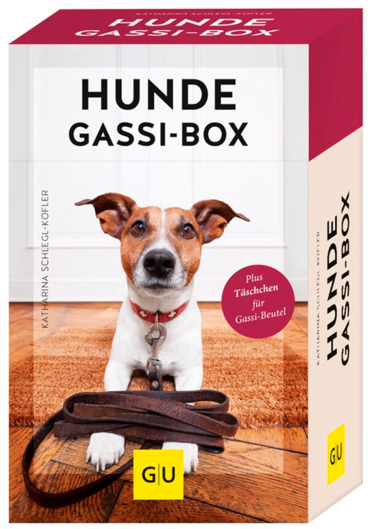 Hunde-Gassi-Box, Übungskarten + Begleitbuch Buch versandkostenfrei