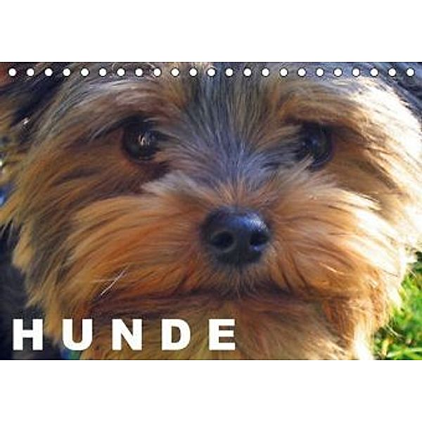 Hunde / Geburtstagskalender (Tischkalender 2015 DIN A5 quer), Elisabeth Stanzer