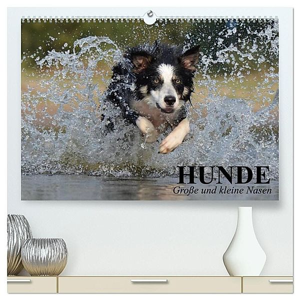 Hunde. Grosse und kleine Nasen (hochwertiger Premium Wandkalender 2024 DIN A2 quer), Kunstdruck in Hochglanz, Elisabeth Stanzer