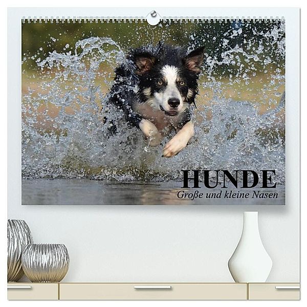 Hunde. Große und kleine Nasen (hochwertiger Premium Wandkalender 2024 DIN A2 quer), Kunstdruck in Hochglanz, Elisabeth Stanzer