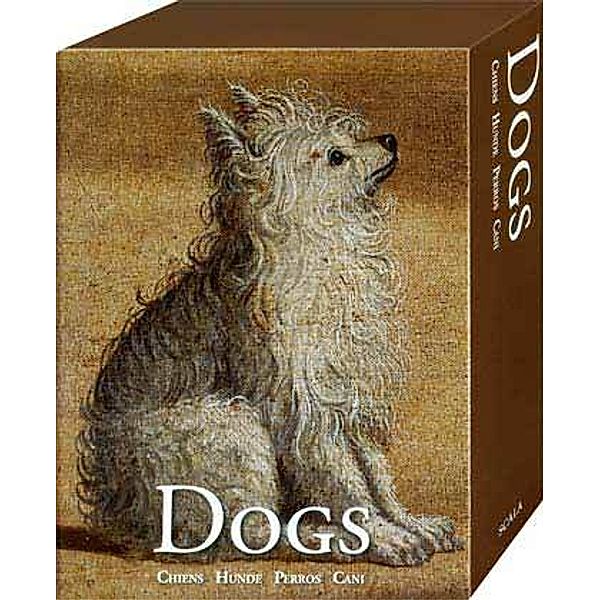 Hunde, Grußkarten-Box 60tlg.