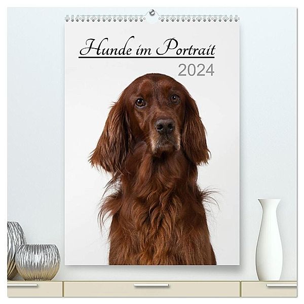Hunde im Portrait (hochwertiger Premium Wandkalender 2024 DIN A2 hoch), Kunstdruck in Hochglanz, Heidi Bollich