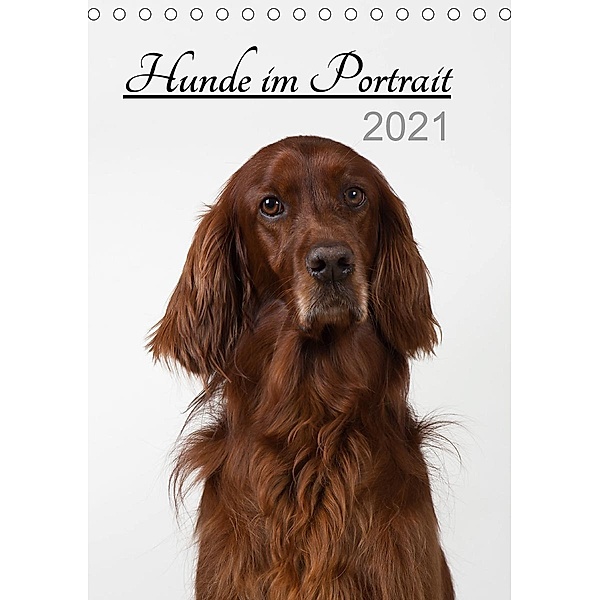 Hunde im Portrait (Tischkalender 2021 DIN A5 hoch), Heidi Bollich