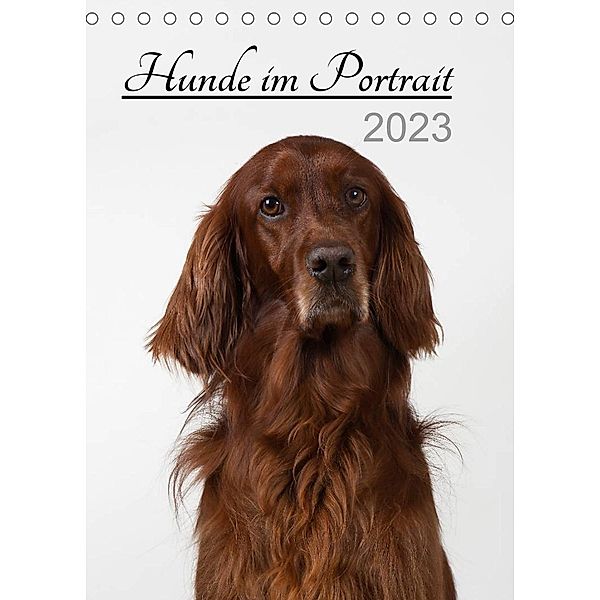 Hunde im Portrait (Tischkalender 2023 DIN A5 hoch), Heidi Bollich