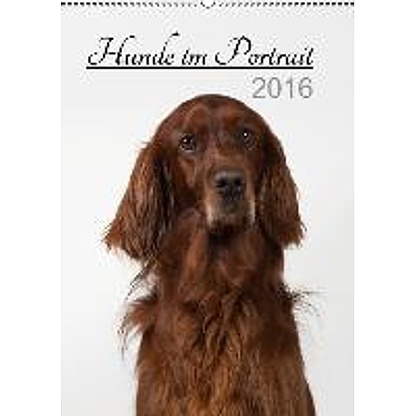 Hunde im Portrait (Wandkalender 2016 DIN A2 hoch), Heidi Bollich