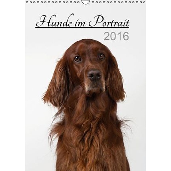 Hunde im Portrait (Wandkalender 2016 DIN A3 hoch), Heidi Bollich