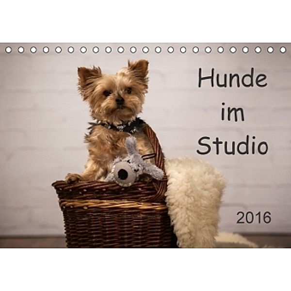 Hunde im Studio (Tischkalender 2016 DIN A5 quer), Uschi Lang