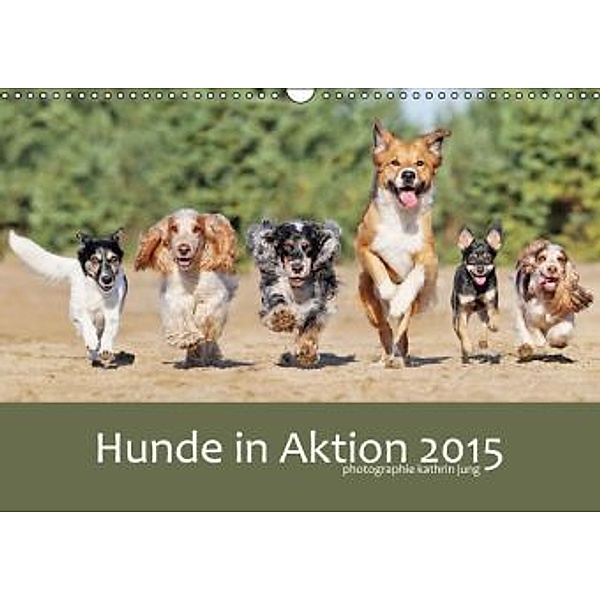Hunde in Aktion 2015 (Wandkalender 2015 DIN A3 quer), Kathrin Jung