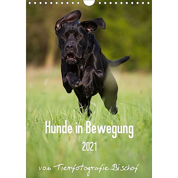 Hunde in Bewegung 2021 von Tierfotografie Bischof (Wandkalender 2021 DIN A4 hoch), Tierfotografie Bischof