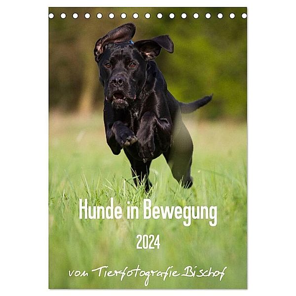 Hunde in Bewegung 2024 von Tierfotografie Bischof (Tischkalender 2024 DIN A5 hoch), CALVENDO Monatskalender, Tierfotografie Bischof