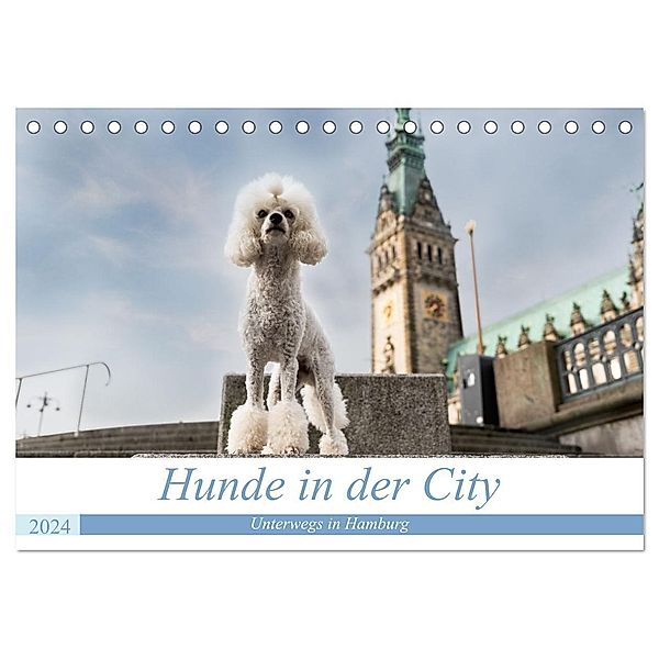 Hunde in der City - Unterwegs in Hamburg (Tischkalender 2024 DIN A5 quer), CALVENDO Monatskalender, Sonja Teßen