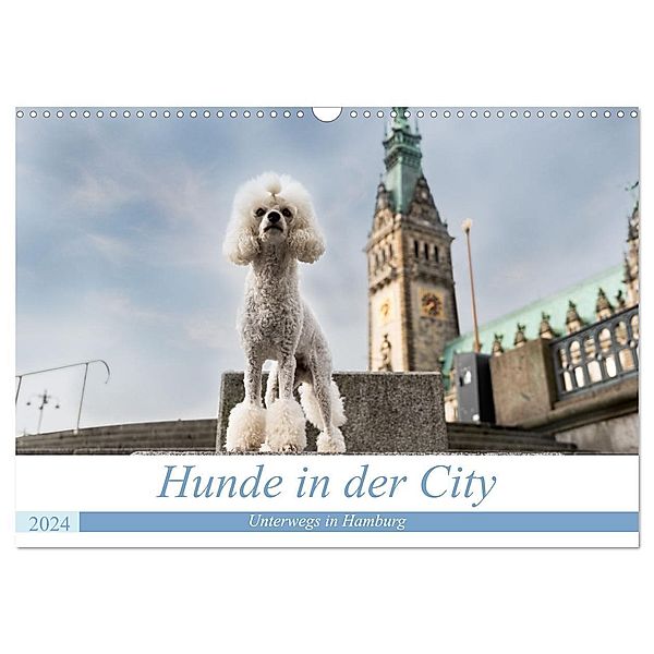 Hunde in der City - Unterwegs in Hamburg (Wandkalender 2024 DIN A3 quer), CALVENDO Monatskalender, Sonja Teßen
