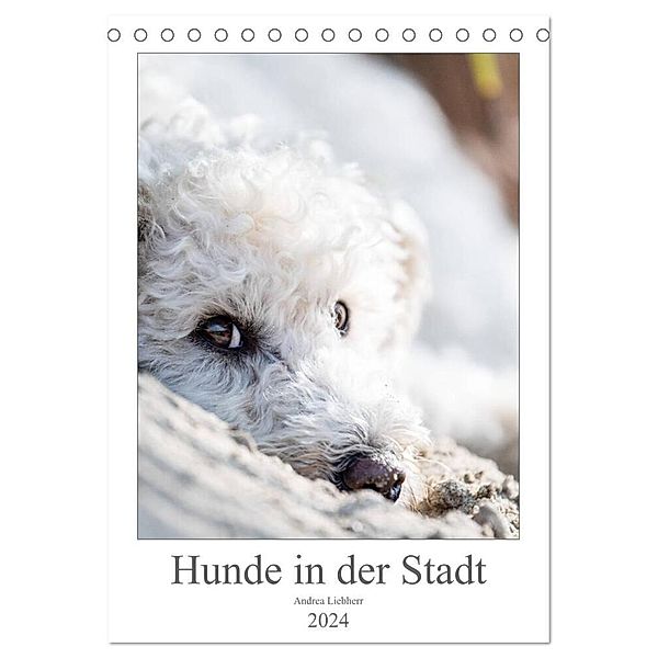 Hunde in der Stadt (Tischkalender 2024 DIN A5 hoch), CALVENDO Monatskalender, Andrea Liebherr