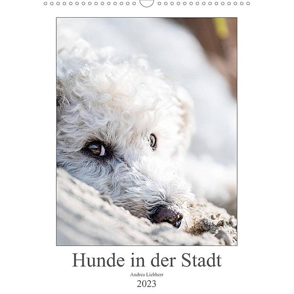 Hunde in der Stadt (Wandkalender 2023 DIN A3 hoch), Andrea Liebherr