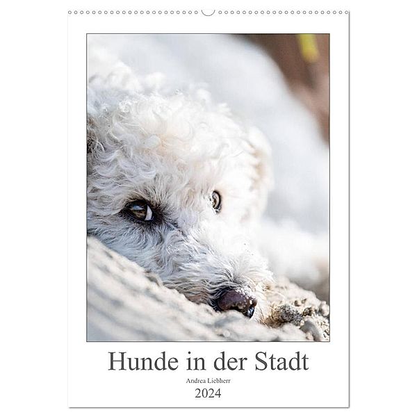 Hunde in der Stadt (Wandkalender 2024 DIN A2 hoch), CALVENDO Monatskalender, Andrea Liebherr