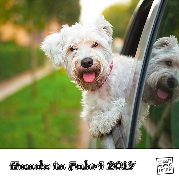 Hunde in Fahrt 2017