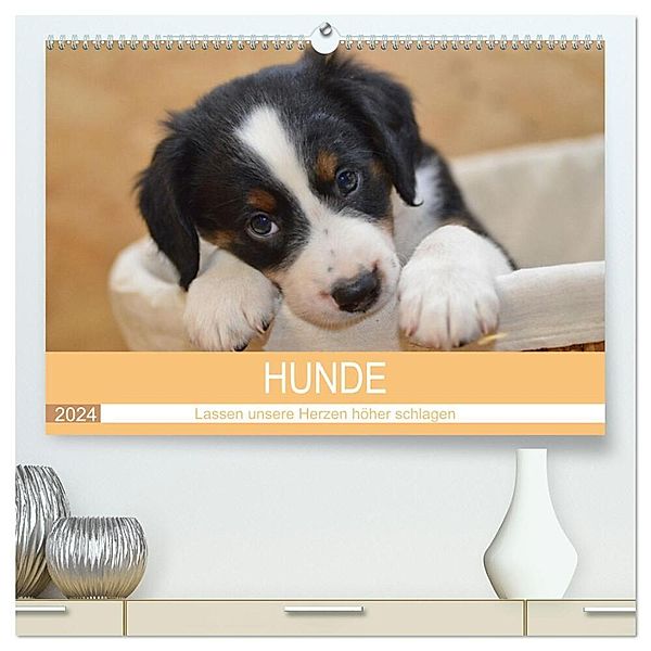 HUNDE - Lassen unsere Herzen höher schlagen (hochwertiger Premium Wandkalender 2024 DIN A2 quer), Kunstdruck in Hochglanz, Sabine Hampe-Neves