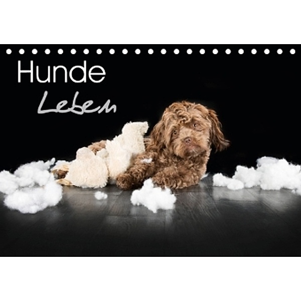 Hunde LebenCH-Version (Tischkalender 2016 DIN A5 quer), Nicole Hollenstein