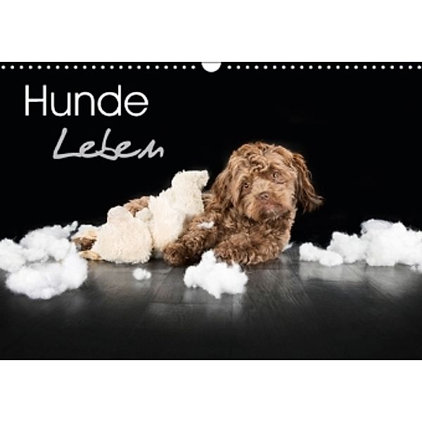 Hunde LebenCH-Version (Wandkalender 2016 DIN A3 quer), Nicole Hollenstein