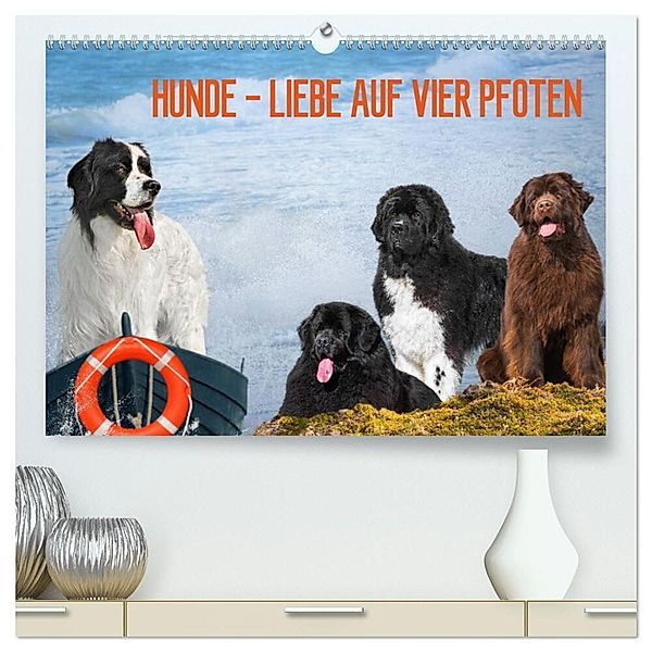Hunde - Liebe auf vier Pfoten (hochwertiger Premium Wandkalender 2025 DIN A2 quer), Kunstdruck in Hochglanz, Calvendo, Sigrid Starick