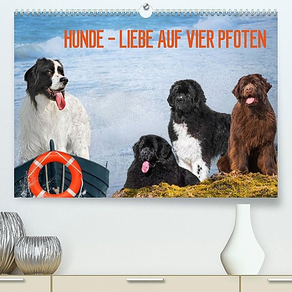 Hunde - Liebe auf vier Pfoten (Premium, hochwertiger DIN A2 Wandkalender 2023, Kunstdruck in Hochglanz), Sigrid Starick